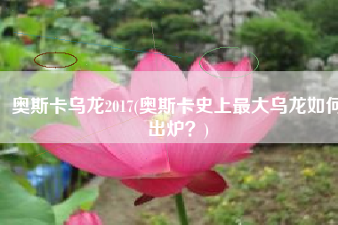 奥斯卡乌龙2017(奥斯卡史上最大乌龙如何出炉？)