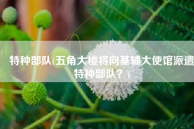 特种部队(五角大楼将向基辅大使馆派遣特种部队？)