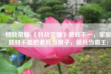 特战荣耀(《特战荣耀》褒贬不一，军旅题材不能把老兵当傻子，新兵当霸王)
