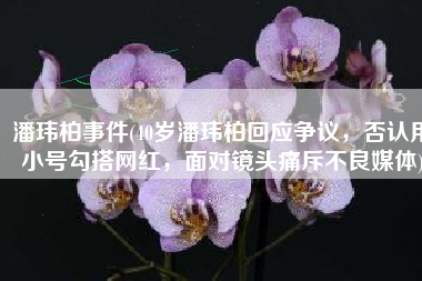 潘玮柏事件(40岁潘玮柏回应争议，否认用小号勾搭网红，面对镜头痛斥不良媒体)