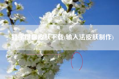 打字键盘皮肤下载(输入法皮肤制作)