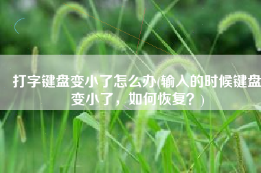 打字键盘变小了怎么办(输入的时候键盘变小了，如何恢复？)