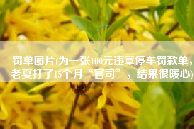 罚单图片(为一张100元违章停车罚款单，老夏打了15个月“官司”，结果很暖心)