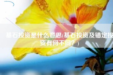 基石投资是什么意思(基石投资及锚定投资有何不同？)