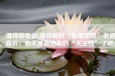 潘玮柏老婆(潘玮柏的“最美空姐”老婆宣云，怕不是最隐形的“天王嫂”了吧)