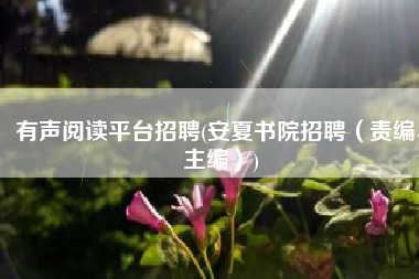 有声阅读平台招聘(安夏书院招聘（责编、主编）)