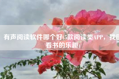有声阅读软件哪个好(5款阅读类APP，找回看书的乐趣)