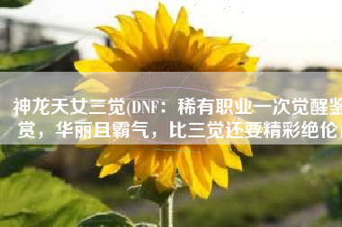 神龙天女三觉(DNF：稀有职业一次觉醒鉴赏，华丽且霸气，比三觉还要精彩绝伦)