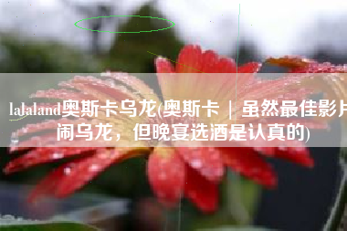 lalaland奥斯卡乌龙(奥斯卡 | 虽然最佳影片闹乌龙，但晚宴选酒是认真的)