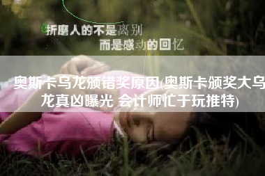 奥斯卡乌龙颁错奖原因(奥斯卡颁奖大乌龙真凶曝光 会计师忙于玩推特)