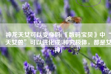 神龙天女可以变身吗(《数码宝贝》中“天女兽”可以进化成5种究极体，都是女神)