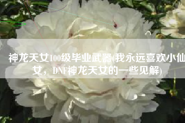 神龙天女100级毕业武器(我永远喜欢小仙女，DNF神龙天女的一些见解)