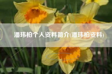 潘玮柏个人资料简介(潘玮柏资料)