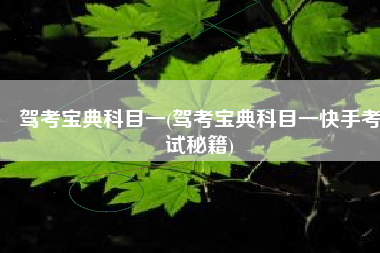 驾考宝典科目一(驾考宝典科目一快手考试秘籍)