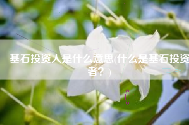 基石投资人是什么意思(什么是基石投资者？)