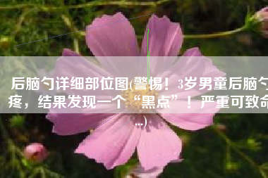 后脑勺详细部位图(警惕！3岁男童后脑勺疼，结果发现一个“黑点”！严重可致命...)