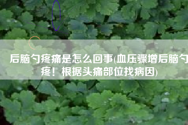 后脑勺疼痛是怎么回事(血压骤增后脑勺疼！根据头痛部位找病因)