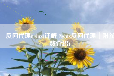 反向代理nginx(详解 Nginx反向代理｜附参数介绍)