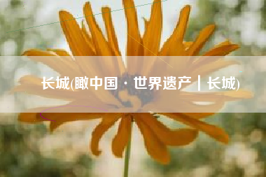 长城(瞰中国·世界遗产｜长城)