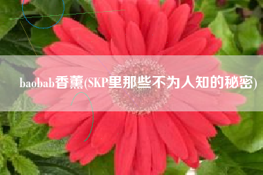 baobab香薰(SKP里那些不为人知的秘密)