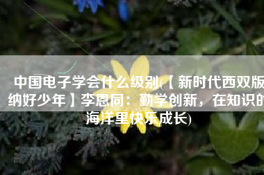 中国电子学会什么级别(【新时代西双版纳好少年】李恩同：勤学创新，在知识的海洋里快乐成长)
