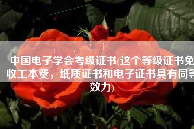 中国电子学会考级证书(这个等级证书免收工本费，纸质证书和电子证书具有同等效力)