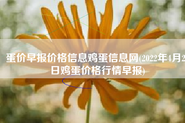 蛋价早报价格信息鸡蛋信息网(2022年4月29日鸡蛋价格行情早报)