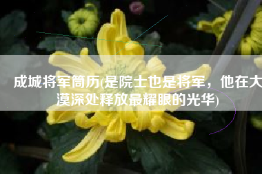 成城将军筒历(是院士也是将军，他在大漠深处释放最耀眼的光华)