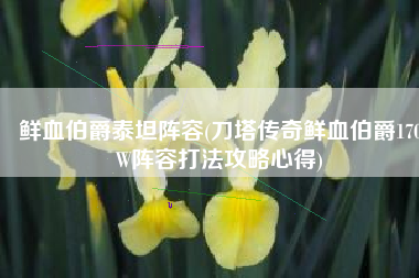 鲜血伯爵泰坦阵容(刀塔传奇鲜血伯爵170W阵容打法攻略心得)