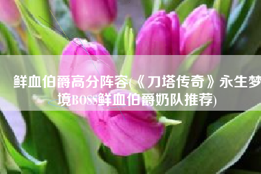 鲜血伯爵高分阵容(《刀塔传奇》永生梦境BOSS鲜血伯爵奶队推荐)