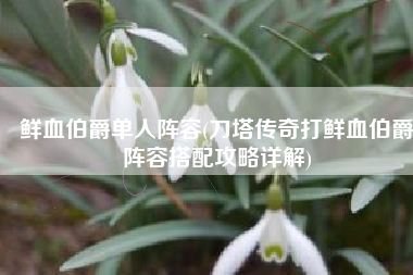鲜血伯爵单人阵容(刀塔传奇打鲜血伯爵阵容搭配攻略详解)