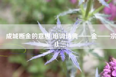 成城断金的意思(组词诗典——金——宗止三)