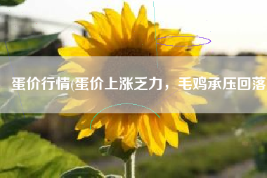 蛋价行情(蛋价上涨乏力，毛鸡承压回落)