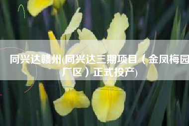 同兴达赣州(同兴达三期项目（金凤梅园厂区）正式投产)
