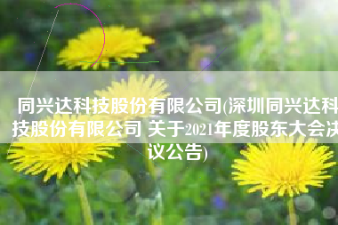 同兴达科技股份有限公司(深圳同兴达科技股份有限公司 关于2021年度股东大会决议公告)