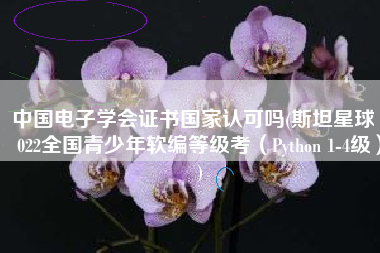 中国电子学会证书国家认可吗(斯坦星球 2022全国青少年软编等级考（Python 1-4级）)