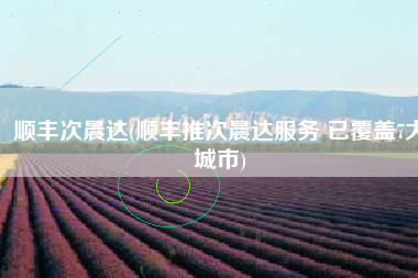 顺丰次晨达(顺丰推次晨达服务 已覆盖7大城市)