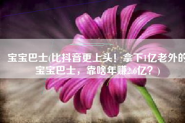 宝宝巴士(比抖音更上头！拿下1亿老外的宝宝巴士，靠啥年赚2.6亿？)