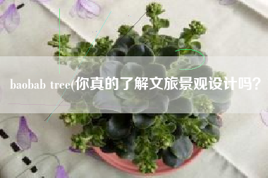 baobab tree(你真的了解文旅景观设计吗？)