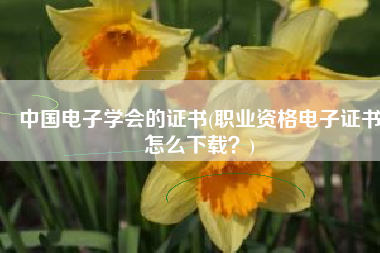 中国电子学会的证书(职业资格电子证书怎么下载？)