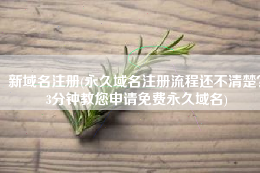 新域名注册(永久域名注册流程还不清楚？3分钟教您申请免费永久域名)