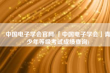 中国电子学会官网(「中国电子学会」青少年等级考试成绩查询)
