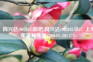 同兴达(002845)股吧(同兴达(002845.SZ)：上半年净利预增178.64%-202.87%)