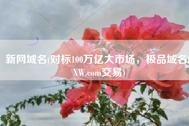 新网域名(对标100万亿大市场，极品域名BXW.com交易)