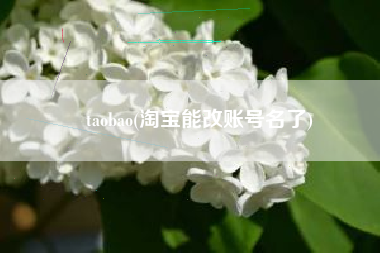 taobao(淘宝能改账号名了)