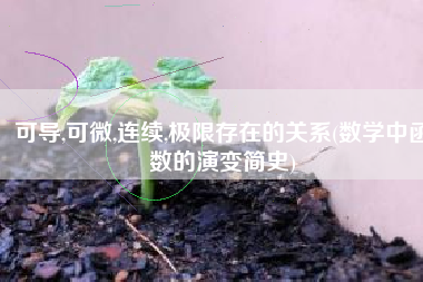 可导,可微,连续,极限存在的关系(数学中函数的演变简史)
