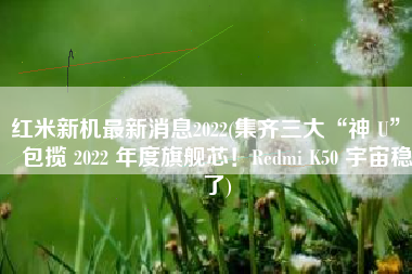 红米新机最新消息2022(集齐三大“神 U”、包揽 2022 年度旗舰芯！Redmi K50 宇宙稳了)