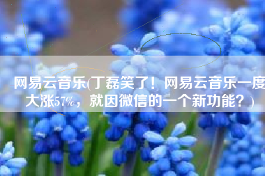 网易云音乐(丁磊笑了！网易云音乐一度大涨57%，就因微信的一个新功能？)