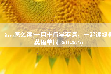 litres怎么读(一目十行学英语，一起读终极英语单词 3611-3625)