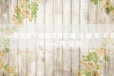 ipad浏览器下载的文件在哪(你 根 本 不 会 用 Safari 浏 览 器)